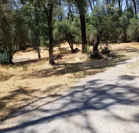 9408 Placer Rd, Redding, CA 96001 photo 18
