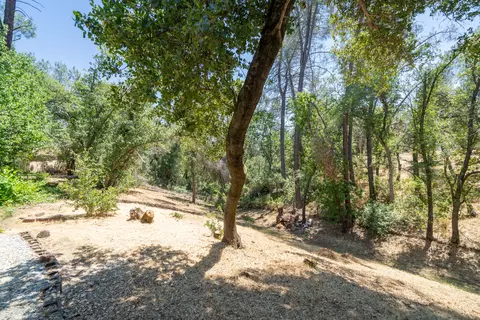 7255 Bohn Blvd, Anderson, CA 96007 photo 56
