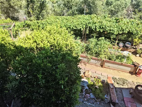 353 Pearl St, Redding, CA 96003 photo 21
