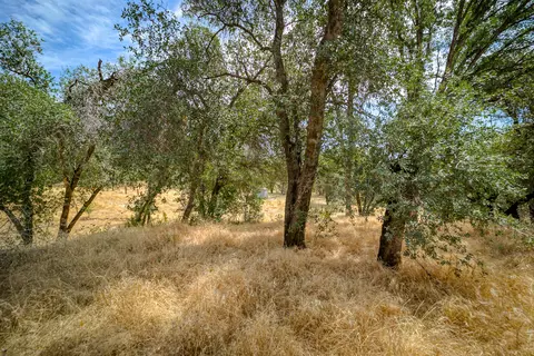 8695 Churn View Pl, Redding, CA 96002 photo 19