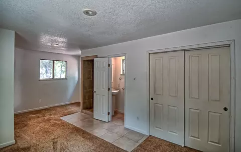 30956 Thumper Dr, Shingletown, CA 96088 photo 28