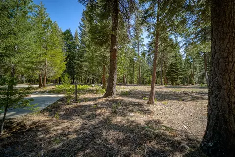 9190 Mountain Meadow Rd, Shingletown, CA 96088 photo 34