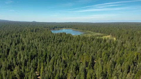 9190 Mountain Meadow Rd, Shingletown, CA 96088 photo 11