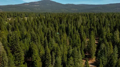 9190 Mountain Meadow Rd, Shingletown, CA 96088 photo 13