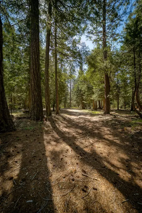 9190 Mountain Meadow Rd, Shingletown, CA 96088 photo 27