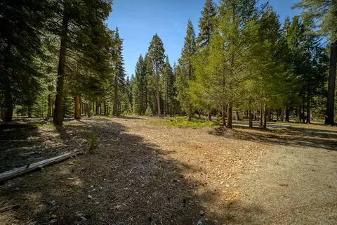 9190 Mountain Meadow Rd, Shingletown, CA 96088 photo 28