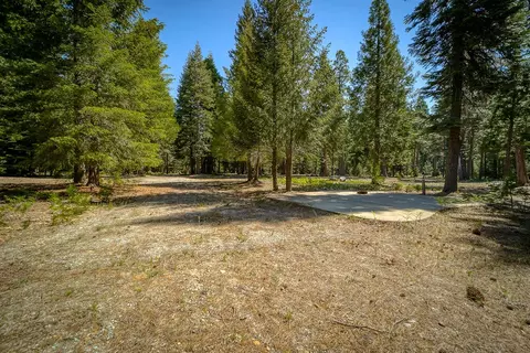 9190 Mountain Meadow Rd, Shingletown, CA 96088 photo 29