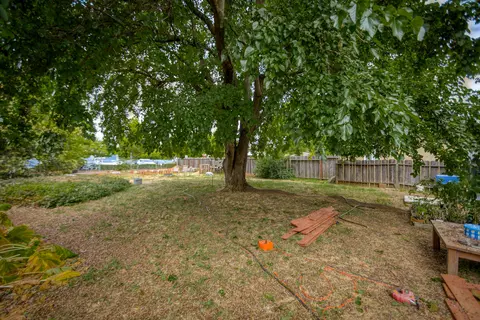 1736 Garden Ave, Redding, CA 96001 photo 17