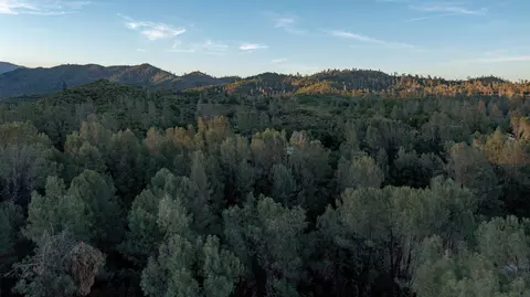 16990 Pine Oaks Dr, Redding, CA 96003 photo 78