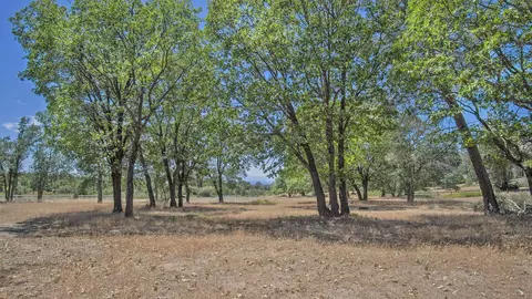 32399 Battleview, Manton, CA 96059 photo 13