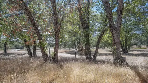 32399 Battleview, Manton, CA 96059 photo 11
