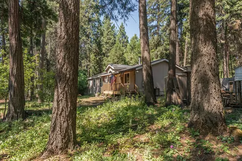 7738 Pegnan Rd, Shingletown, CA 96088 photo 31
