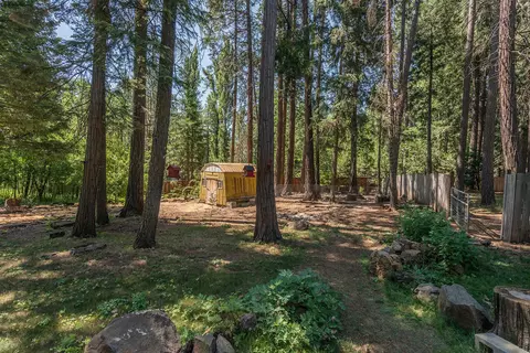 7738 Pegnan Rd, Shingletown, CA 96088 photo 32