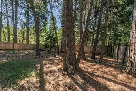 7738 Pegnan Rd, Shingletown, CA 96088 photo 39