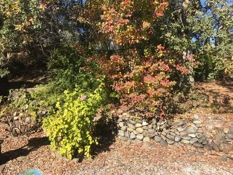 4420 Eagle Nest Rd, Redding, CA 96003 photo 25