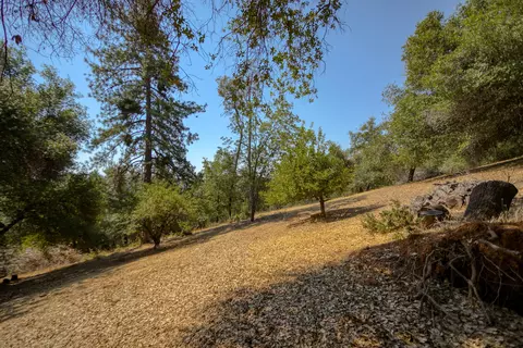 19766 Deerhaven Dr, Redding, CA 96003 photo 48