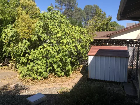 3330 Winding Way, Redding, CA 96003 photo 13