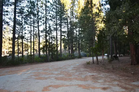 20135 Mowry Ln, Burney, CA 96013 photo 33