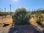11493 Market St, Redding, CA 96001 photo 6