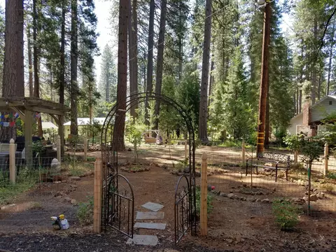 7494 Smith Creek Rd, Shingletown, CA 96088 photo 57
