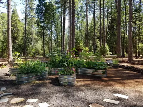 7494 Smith Creek Rd, Shingletown, CA 96088 photo 13