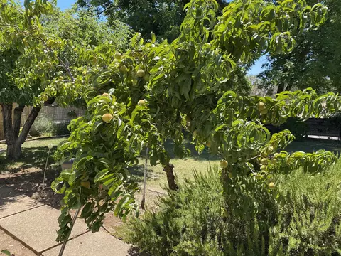1831 Manchester Dr, Redding, CA 96002 photo 22