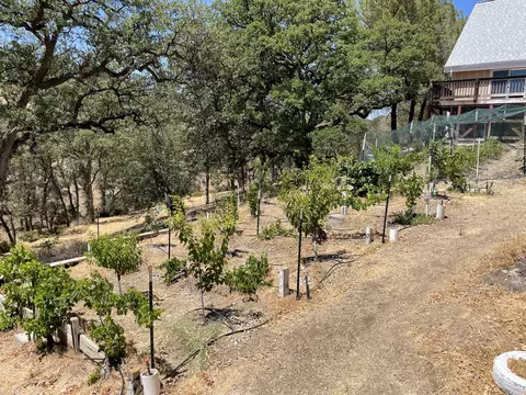 6987 Buggy Whip Ln, Corning, CA 96021 photo 37