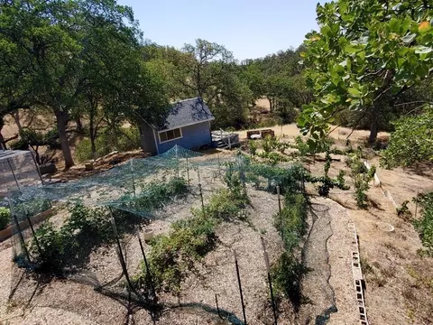 6987 Buggy Whip Ln, Corning, CA 96021 photo 36