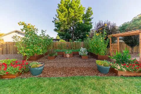 14523 Ryan Ln, Red Bluff, CA 96080 photo 5