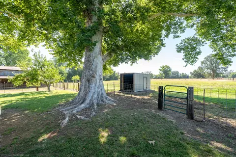 19451 Spring Gulch Rd, Anderson, CA 96007 photo 41