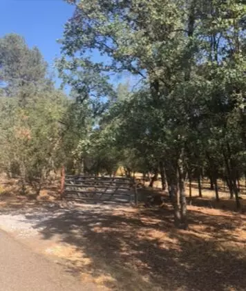 19952 Woodchuck Trl, Redding, CA 96003 photo 19