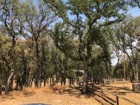 14339 Redtail Dr, Red Bluff, CA 96080 photo 18