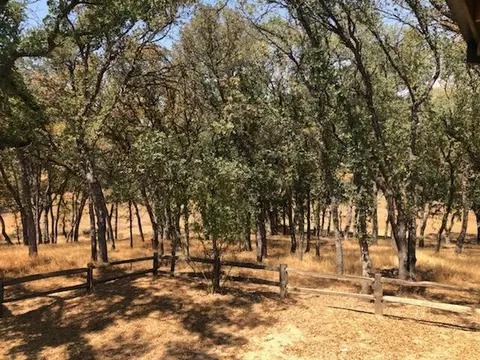 14339 Redtail Dr, Red Bluff, CA 96080 photo 20
