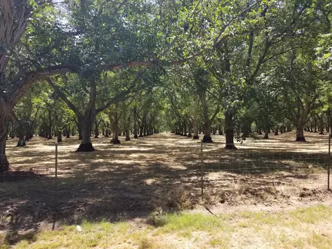 5658 Pleasant View Dr, Anderson, CA 96007 photo 36