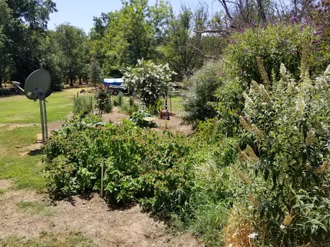 5658 Pleasant View Dr, Anderson, CA 96007 photo 43
