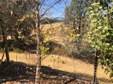 7301 Buckboard Rd, Corning, CA 96021 photo 20