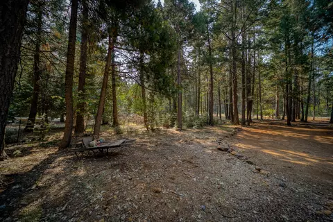 34740 Timber Ridge Rd, Shingletown, CA 96088 photo 61