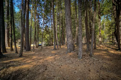 34740 Timber Ridge Rd, Shingletown, CA 96088 photo 68