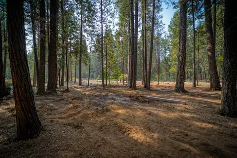 34740 Timber Ridge Rd, Shingletown, CA 96088 photo 67