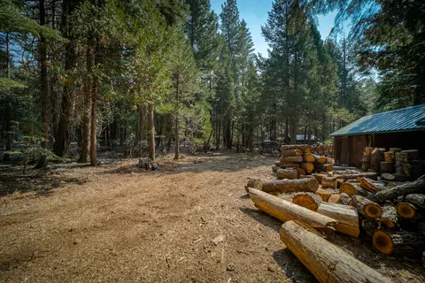 34740 Timber Ridge Rd, Shingletown, CA 96088 photo 42