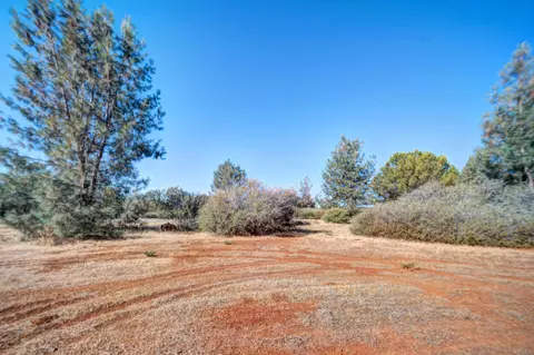 5414 Wilson Hill Rd, Manton, CA 96059 photo 29