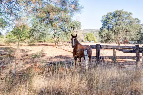 5414 Wilson Hill Rd, Manton, CA 96059 photo 41