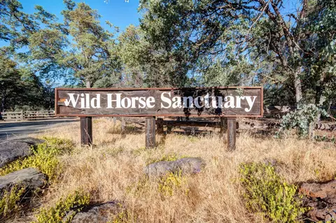 5414 Wilson Hill Rd, Manton, CA 96059 photo 40