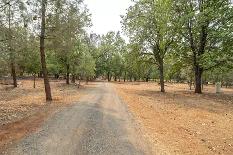 13827 Murphy Ln, Oak Run, CA 96069 photo 34