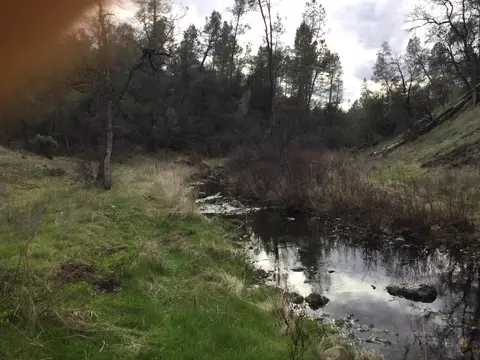 21612 W Elk Trl, Redding, CA 96003 photo 3