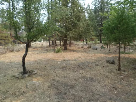 17220 Douglas Ct, Weed, CA 96094 photo 6