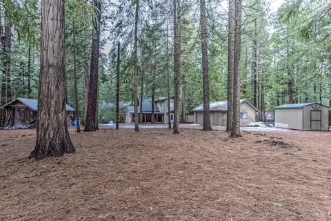 35326 Shenandoah Dr, Shingletown, CA 96088 photo 3