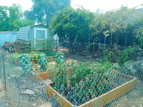 7186 Bohn Blvd, Anderson, CA 96007 photo 24