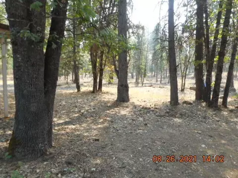 38003 Whaley Dr, Burney, CA 96013 photo 4