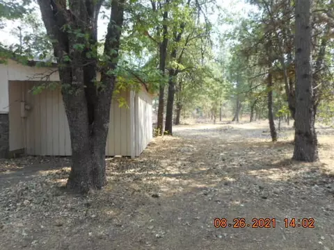 38003 Whaley Dr, Burney, CA 96013 photo 3